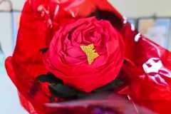 IMG-20250512-WA0000